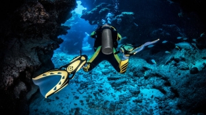 Dive Koh Tao Like a Local: Hidden Spots and Pro Tips from Our Instructors