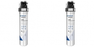 What Contaminants Does the Everpure H 300 Remove?