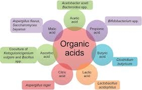 Organic Acid Market Key Mergers & Acquisitions