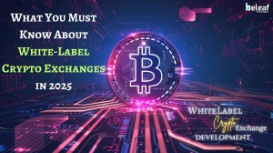 What You Must Know About White-Label Crypto Exchanges in 2025