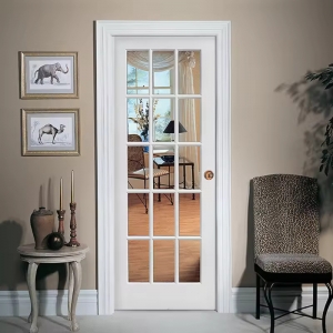 Single Door with Frame