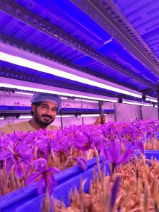 Saffron Processing Plant Machinery Cost 2025: Investment Opportunities, Industry Trends and Business Plan