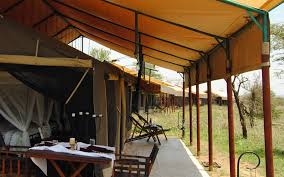 Explore the Wild at Tanzania Bush Camp Ndutu During the Serengeti Migration