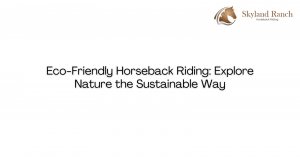 Eco-Friendly Horseback Riding: Explore Nature the Sustainable Way