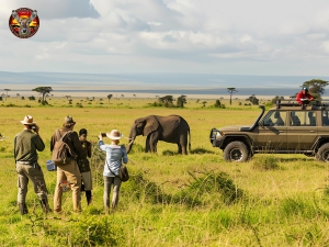 Discover Authentic Adventures with Leading Tanzania Safari Companies          Ask ChatGPT