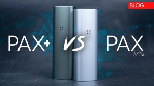 I Tried the PAX Plus and the PAX Mini in 2025 — Here’s the Honest Truth 