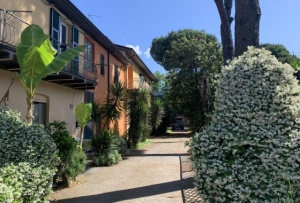 B&B Cinque Terre: Stay Where the Sea Meets the Sky