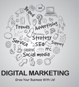 Choosing Between a Freelancer and a Digital Marketing Company in India for Better SEO Results