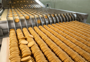 How Modern Biscuit Making Machines Are Empowering Small-Scale Bakeries