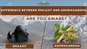 Difference Between Shilajit and Ashwagandha: Are You Aware?