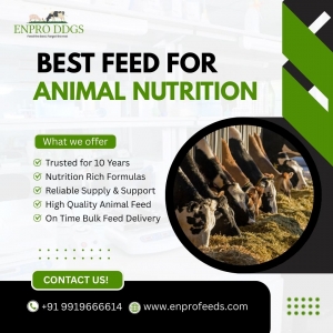 Best Feed for Animal Nutrition – Enpro Feeds