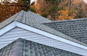Storm Damage Roof Repair Service Bronx, NY 