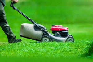Amazing Gardeners – Your Trusted Landscape Gardener Service