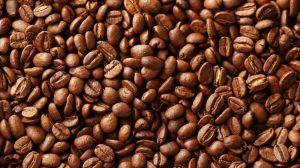 How Coffee Plantations Impact the Environment (And What’s Being Done)