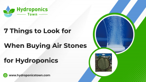 7 Things to Look for When Buying Air Stones for Hydroponics
