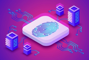 The Role of Blockchain in Ensuring Transparency and Traceability in Supply Chains