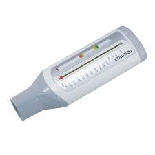Peak Flow Meter Market Product Lifecycle
