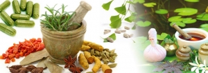 Herbal Medicinal Products Market Outlook 2025-2032