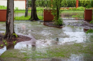 Backyard Flooding After Rain? 7 Fixes You Can Trust
