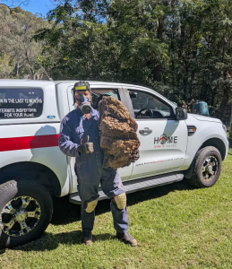 Protecting Sydney Homes: Choosing the Top Termite Bait System in Australia