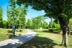 Reasons Parks Improve Mental Health
