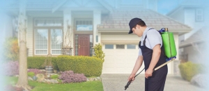 Choosing Reliable Pest Control in Grand Prairie