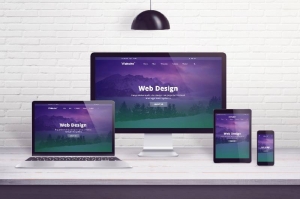 Choose a Web Design Company in Scottsdale