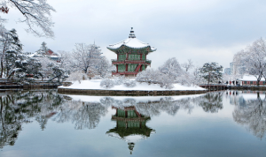 Explore the World with the Best Travel Agency in Singapore – Tailwinds Travels