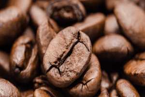 Finding the Best Office Coffee Machine NZ Businesses Love