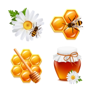 Honey Market Size, Share, Analysis & Forecast, 2032