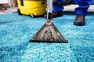 How to Choose the Best Rugs Cleaning Company in 2025: Services, Costs & Care Tips