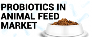 Probiotics in Animal Feed Market Size, Share, Analysis & Forecast, 2032