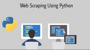 Unlocking Smarter Insights with Python Web Scraping Consulting