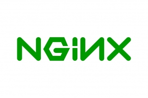 How To Solve OpenVPN TLS-Crypt Errors And Nginx SSL Issues