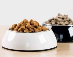 Pet Food Market Pet Food Safety Standards