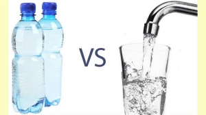 Water Filtration vs. Bottled Water: Which Is Better for You?