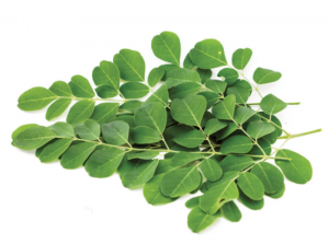 Unlock the Power of Nature with Moringa Supplement Capsules