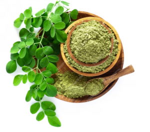 Why Choose Ayurvedic Supplements in Today’s World?