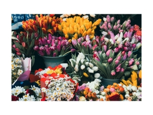 How to Master Personalized Floral Designs: A Beginner’s Guide
