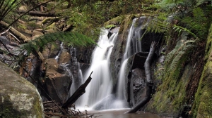 Short Term Rental Property Management in Yarra Valley & Dandenong Ranges – Maximise Your Returns
