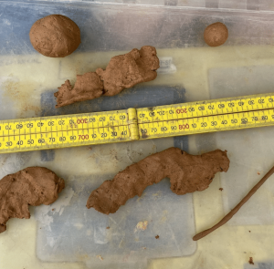 Maximising Property Potential: Understanding Land Capability Assessment Services and Their Cost