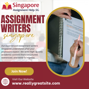 The Hidden Benefits of Hiring Expert Assignment Writers Singapore