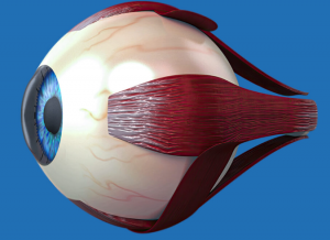 Eye Specialist in Delhi NCR: Your Guide to Expert Eye Care