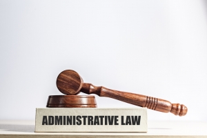Role and Importance of an Administrative Lawyer in Legal Matters