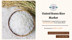 United States Rice Market Share and Forecast till 2033