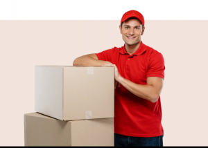 Why Removalists Perth Are the Best Choice for House Removals