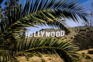 Postal Services in Hollywood: Features and Useful Tips