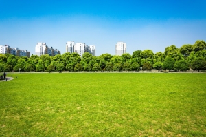 Are Green Spaces Good for Mental Health?