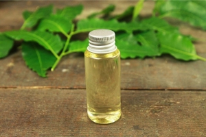 Neem oil for skin has long been revered by those pursuing natural, effective skincare. In a world increasingly