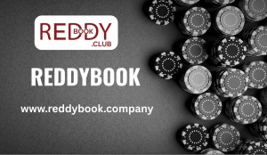 Reddybook Sign Up: Connecting Players Through Smart Gameplay